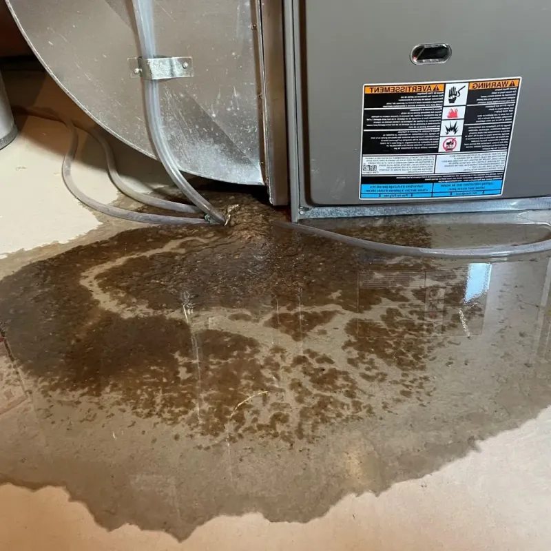 Pipe Burst and Leak Restoration in Fabens, TX